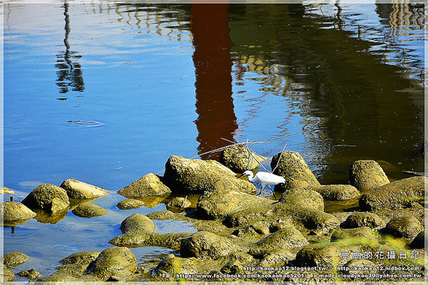 彩虹橋：【臺北】松山區。成美左岸河濱公園 彩虹橋畔《心有鎖屬》ＬＯＶＥ 愛情鎖