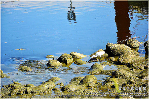 彩虹橋：【臺北】松山區。成美左岸河濱公園 彩虹橋畔《心有鎖屬》ＬＯＶＥ 愛情鎖