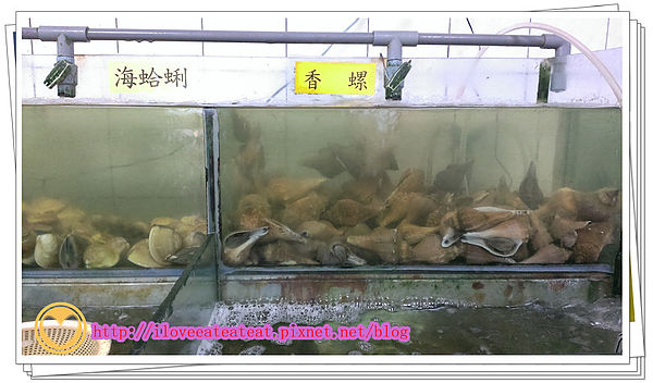 2014-03-30 16.05.52_副本.jpg