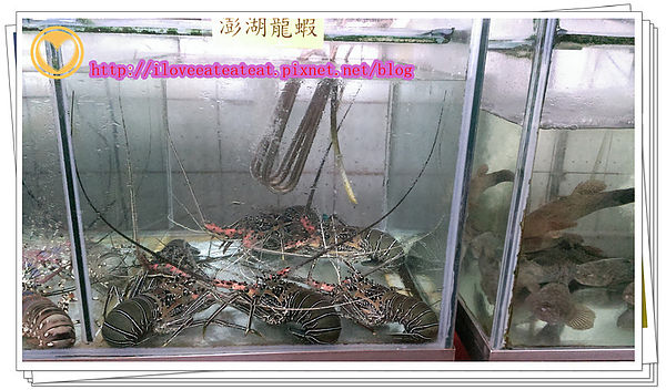 2014-03-30 16.05.28_副本.jpg