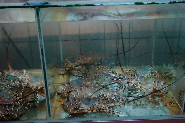 英賓海產餐廳：英賓海產餐廳--布袋港的老字號--蚵仔麵線不如前