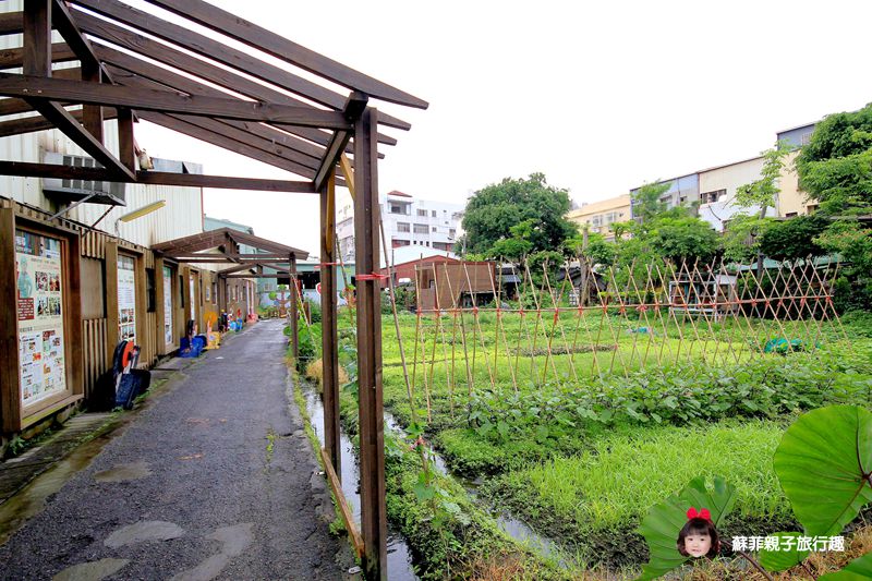 26209854053_6aeac37207_o