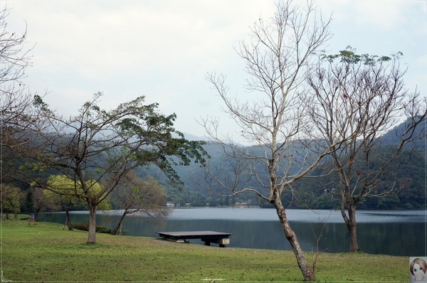 金車蘭花園(員山園)：宜蘭  員山龍潭埤＆金車蘭花園~我與仙人掌的約會