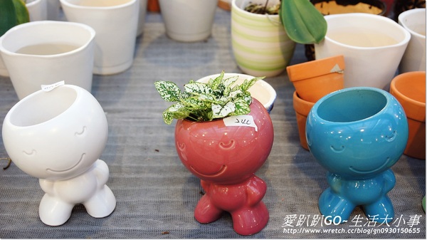 金車蘭花園(員山園)：【宜蘭/員山鄉】美不勝收~金車蘭花園