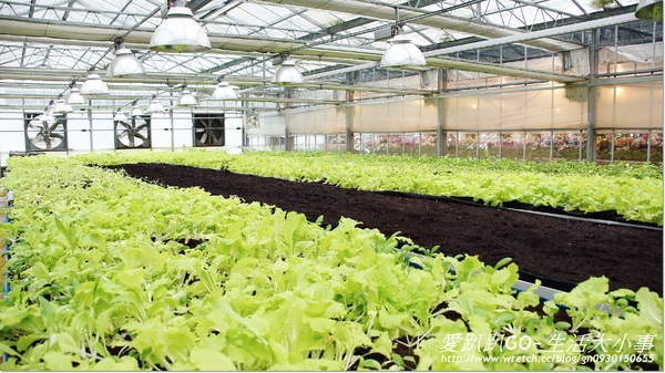 金車蘭花園(員山園)：【宜蘭/員山鄉】美不勝收~金車蘭花園