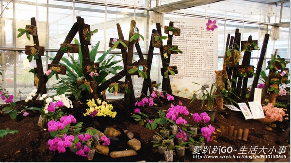 金車蘭花園(員山園)：【宜蘭/員山鄉】美不勝收~金車蘭花園