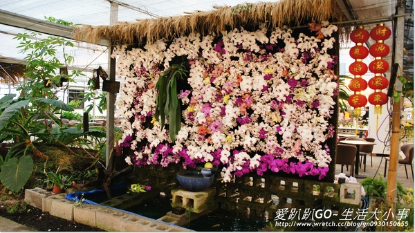 金車蘭花園(員山園)：【宜蘭/員山鄉】美不勝收~金車蘭花園