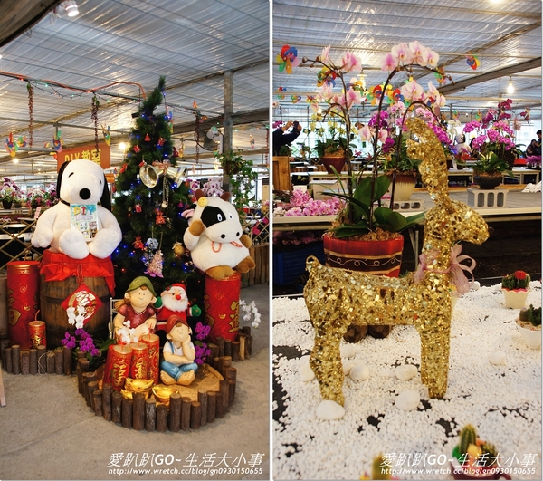 金車蘭花園(員山園)：【宜蘭/員山鄉】美不勝收~金車蘭花園