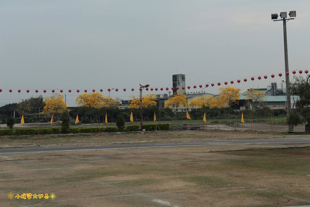 PhotoCap_照片 585.jpg