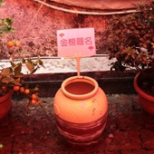 PhotoCap_照片 636.jpg