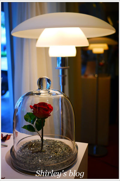 CUPETIT 卡柏蒂杯子費南雪：CUPETIT卡柏蒂杯子費南雪(概念店)