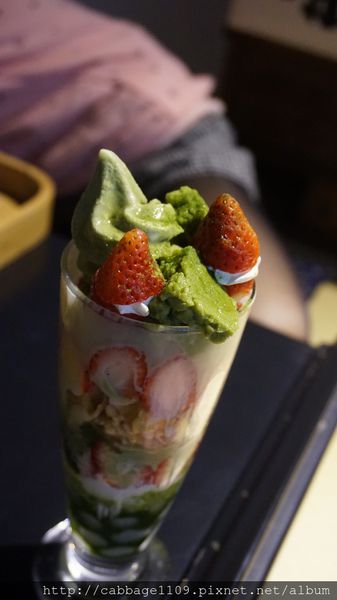 DSC04955 (複製).JPG