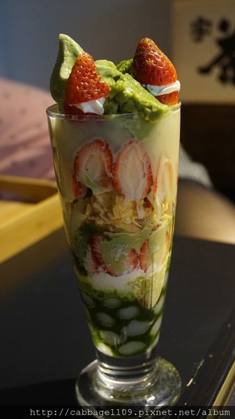 DSC04954 (複製).JPG