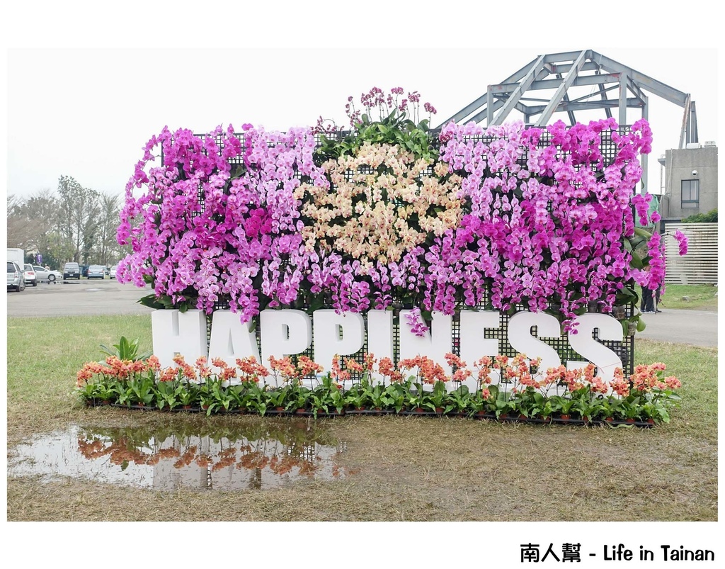 2016臺灣國際蘭展