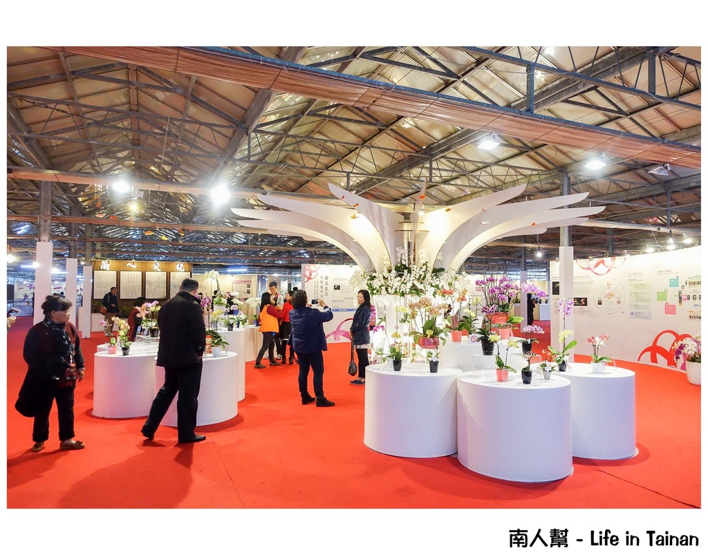 2016臺灣國際蘭展