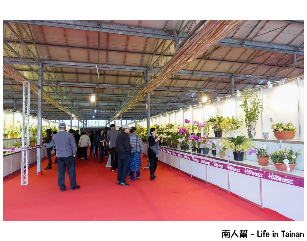 2016臺灣國際蘭展