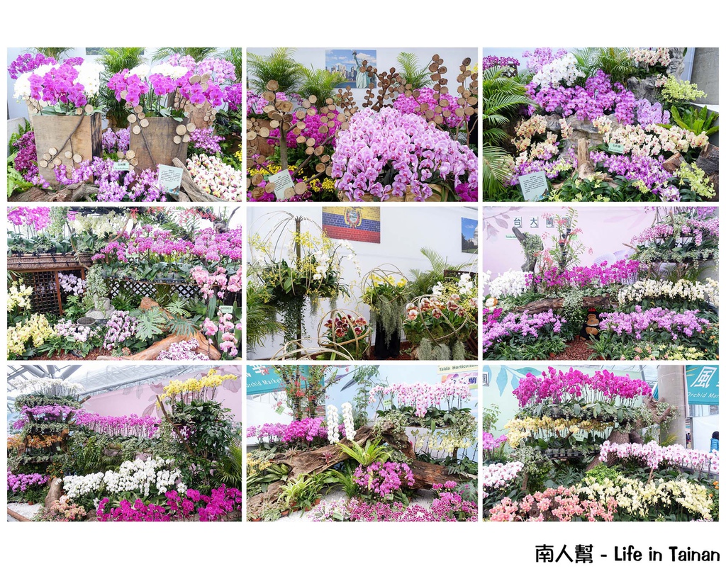 2016臺灣國際蘭展