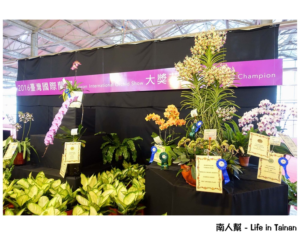 2016臺灣國際蘭展
