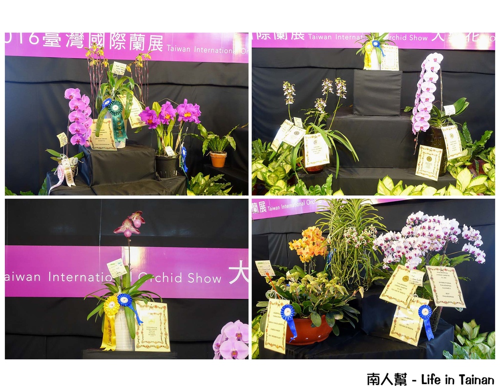 2016臺灣國際蘭展