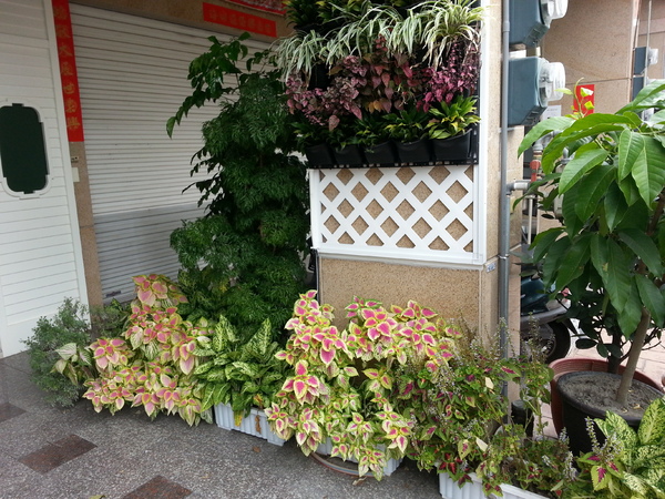 奇米鄉村廚房 Kimi House:放鬆系列小鄉村風格早午餐。 奇米鄉村廚房 Kimi House