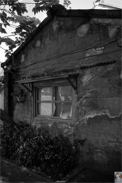 信義公民會館 (四四南村)：[信義幹線攻略]台北 捷運101站 四四南村~文青之小賣場