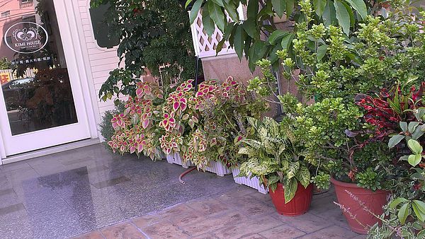 奇米鄉村廚房 Kimi House：【愛評口碑劵2】醉在英式古典浪漫Brunch【奇米鄉村廚房】！