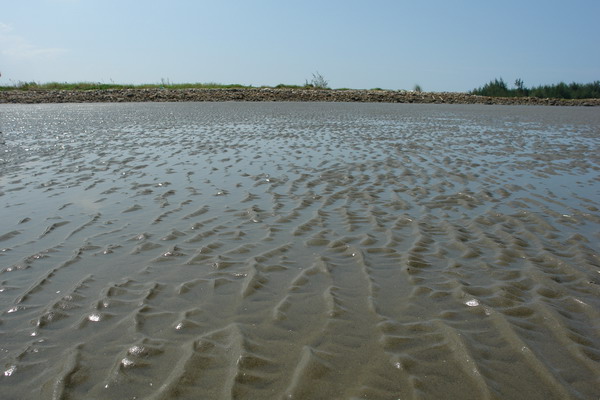 嘉義布袋漁港 潮間帶休閒館：嘉義布袋漁港 潮間帶休閒--真正愛台灣生態文青之旅