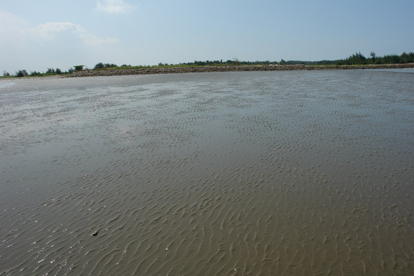 嘉義布袋漁港 潮間帶休閒館：嘉義布袋漁港 潮間帶休閒--真正愛台灣生態文青之旅