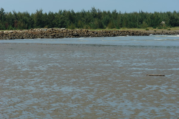 嘉義布袋漁港 潮間帶休閒館：嘉義布袋漁港 潮間帶休閒--真正愛台灣生態文青之旅