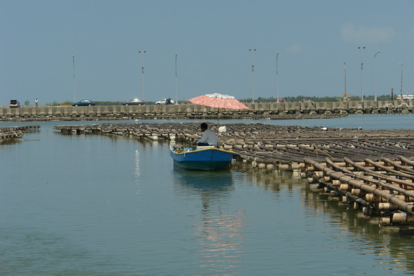 嘉義布袋漁港 潮間帶休閒館：嘉義布袋漁港 潮間帶休閒--真正愛台灣生態文青之旅