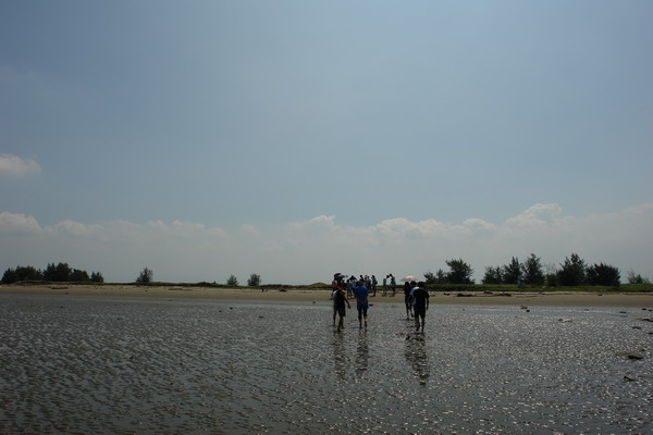 嘉義布袋漁港 潮間帶休閒館：嘉義布袋漁港 潮間帶休閒--真正愛台灣生態文青之旅