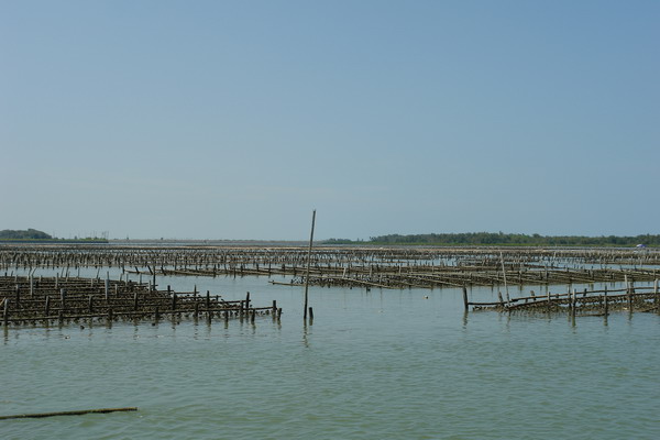嘉義布袋漁港 潮間帶休閒館：嘉義布袋漁港 潮間帶休閒--真正愛台灣生態文青之旅