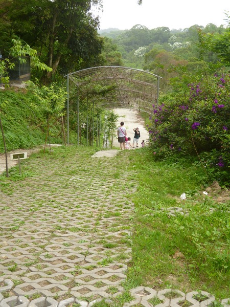 彩紅部落親子育樂休閒農場：【新竹北埔】玩瘋的孩子們，免入場費的森林樂園－彩紅部落親子育樂休閒農場(戶外篇)