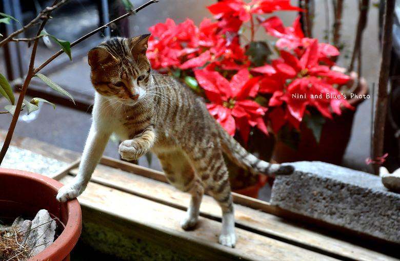 逢甲焙客廚房早午餐04