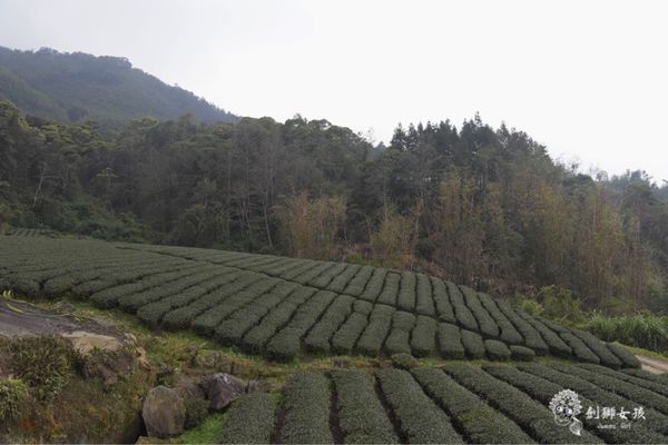 嘉義民宿秘密遊mimiyo 19.jpg