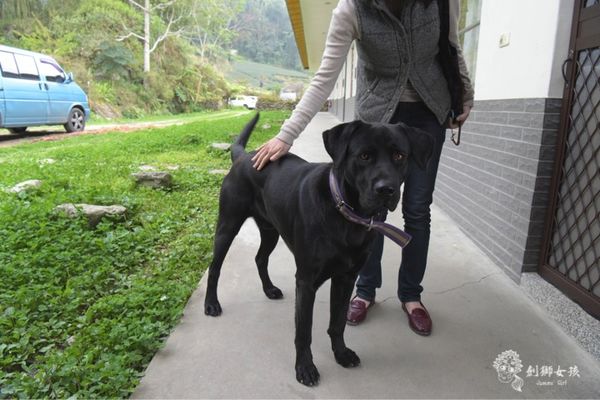 嘉義民宿秘密遊mimiyo 7.jpg