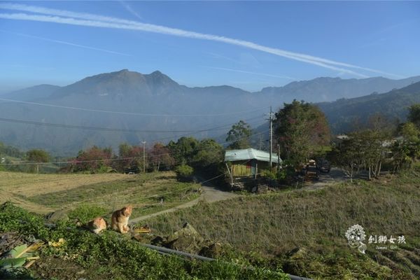 嘉義民宿秘密遊mimiyo 46.jpg