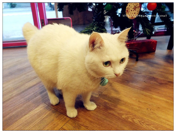 DSCF4774_副本_副本