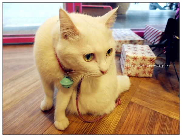 DSCF4775_副本_副本