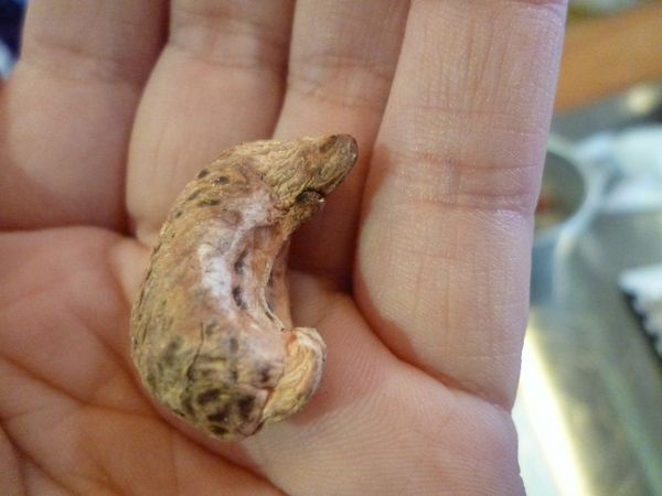 Orobello 8巷23號：【口碑劵】前進夢想的路途上，Orobello精選登場－Orobello8巷23號(甜點篇)