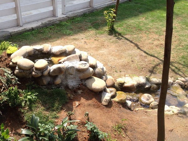 Mint Pasta：《桃園》Mint Pasta│令人回味無窮的粉紅醬義大利麵♥