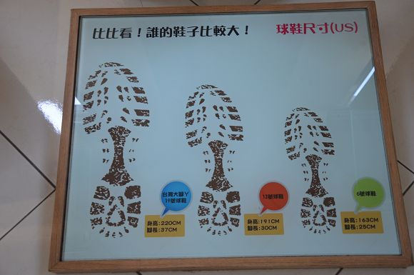 鞋寶觀光工廠37