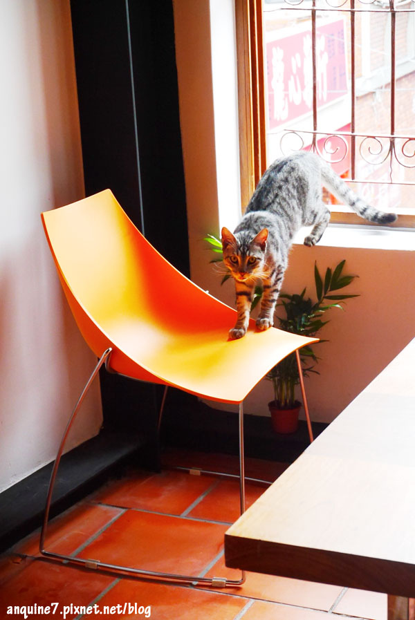 廖西瓜@台北蛙咖啡蛙灶咖32