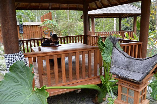 烏林雨林餐廳42