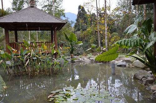 烏林雨林餐廳43