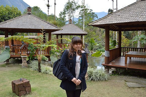 烏林雨林餐廳49