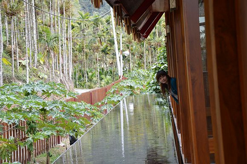 烏林雨林餐廳31
