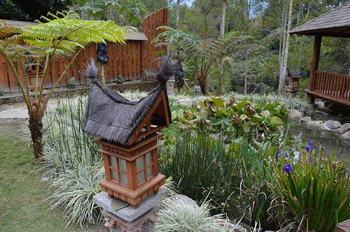 烏林雨林餐廳46