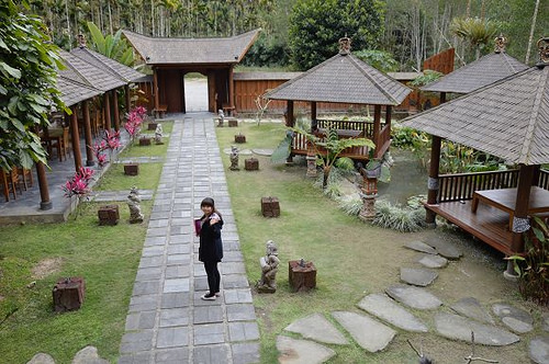 烏林雨林餐廳36
