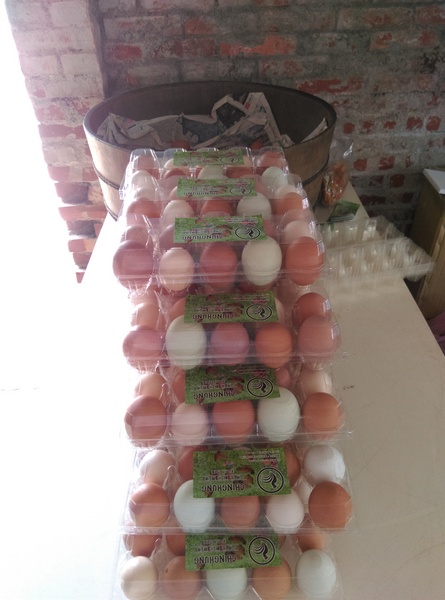 青宏畜牧場:南投八卦山青宏畜牧場無菜單料理**一人200吃到飽**